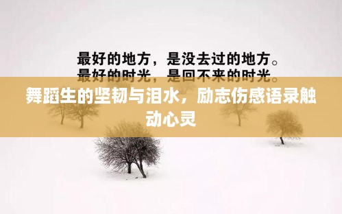 舞蹈生的坚韧与泪水，励志伤感语录触动心灵