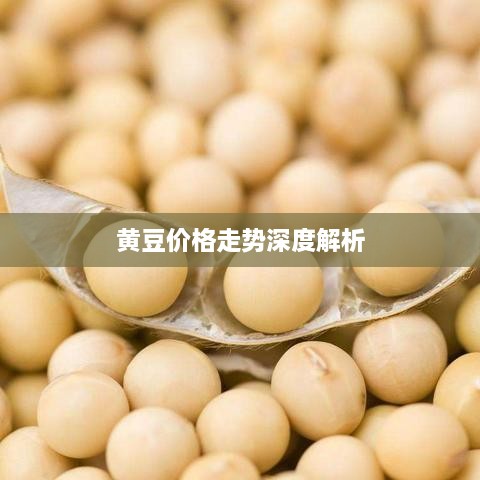 黄豆价格走势深度解析