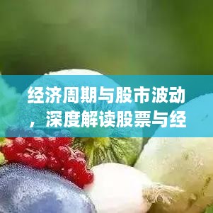 经济周期与股市波动，深度解读股票与经济周期的关系