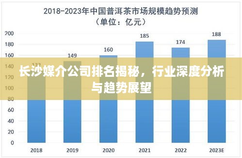 长沙媒介公司排名揭秘，行业深度分析与趋势展望