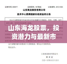 山东海龙股票，投资潜力与最新市场动态解析