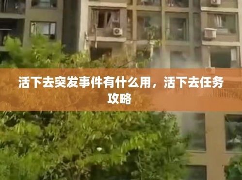 活下去突发事件有什么用，活下去任务攻略 