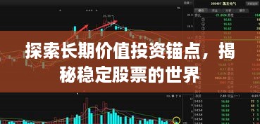 探索长期价值投资锚点，揭秘稳定股票的世界