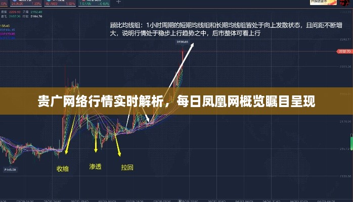 贵广网络行情实时解析，每日凤凰网概览瞩目呈现