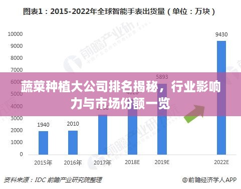 蔬菜种植大公司排名揭秘，行业影响力与市场份额一览