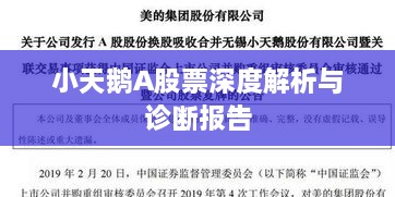 小天鹅A股票深度解析与诊断报告