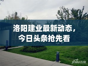 洛阳建业最新动态，今日头条抢先看