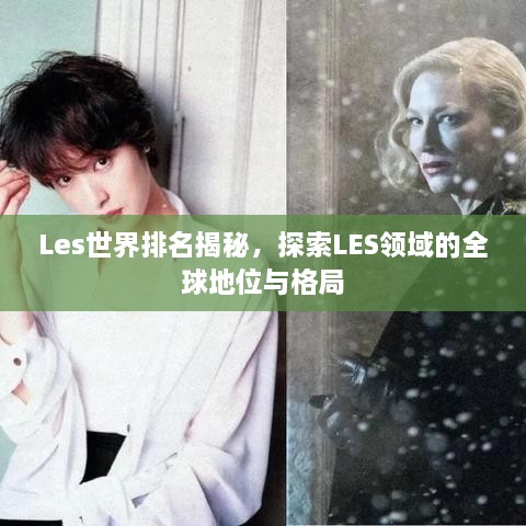 Les世界排名揭秘，探索LES领域的全球地位与格局