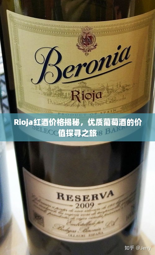 Rioja红酒价格揭秘，优质葡萄酒的价值探寻之旅