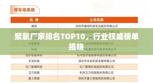 聚氯厂家排名TOP10，行业权威榜单揭晓