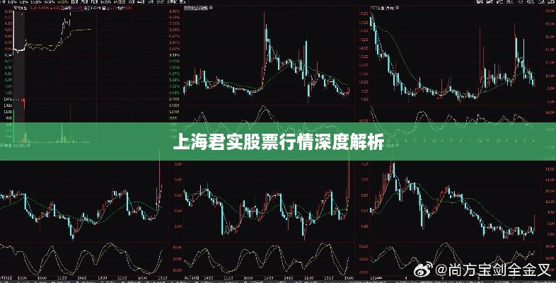 上海君实股票行情深度解析