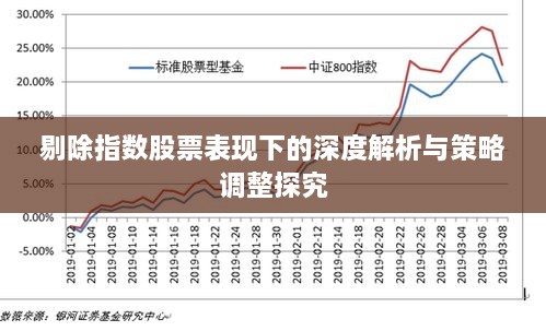 剔除指数股票表现下的深度解析与策略调整探究