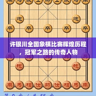 许银川全国象棋比赛辉煌历程，冠军之路的传奇人物