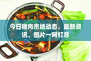 今日猪肉市场动态，最新资讯、图片一网打尽