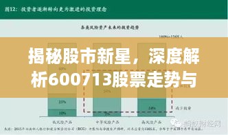 揭秘股市新星，深度解析600713股票走势与前景展望