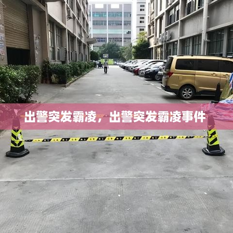 出警突发霸凌，出警突发霸凌事件 