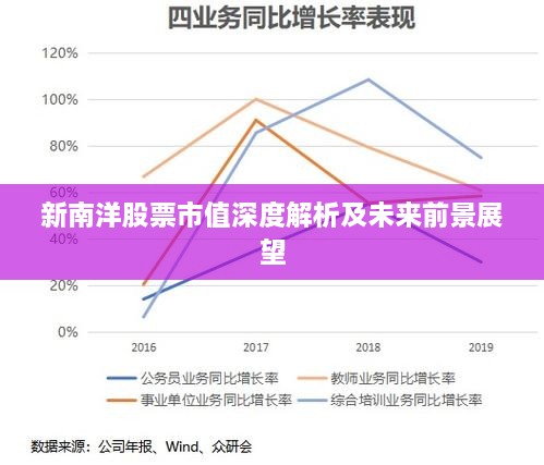 新南洋股票市值深度解析及未来前景展望