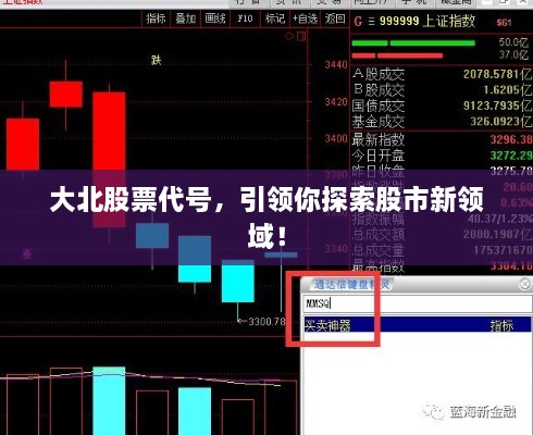 大北股票代号，引领你探索股市新领域！