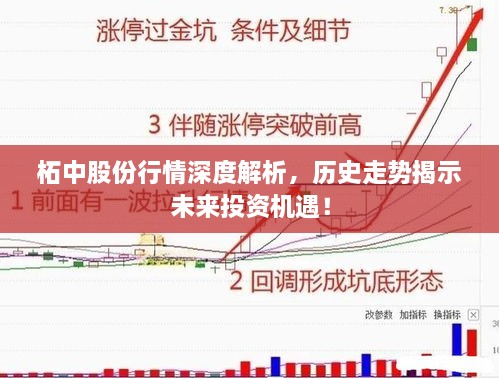 柘中股份行情深度解析，历史走势揭示未来投资机遇！