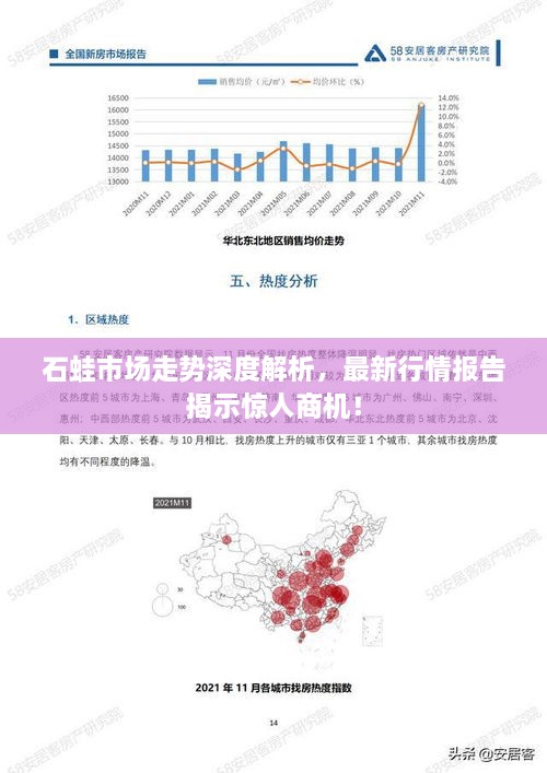 石蛙市场走势深度解析，最新行情报告揭示惊人商机！