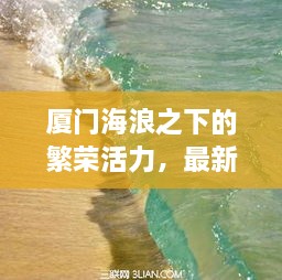 厦门海浪之下的繁荣活力，最新新闻头条文章揭秘海滨盛景