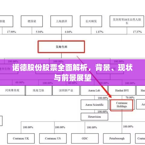 诺德股份股票全面解析，背景、现状与前景展望