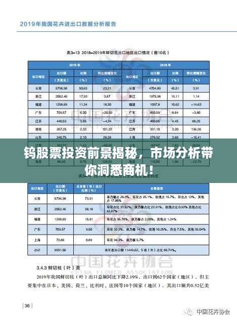 钨股票投资前景揭秘，市场分析带你洞悉商机！