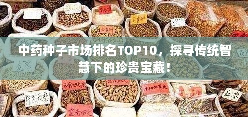 中药种子市场排名TOP10，探寻传统智慧下的珍贵宝藏！