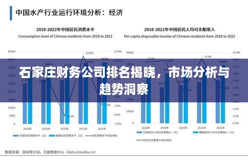 石家庄财务公司排名揭晓，市场分析与趋势洞察