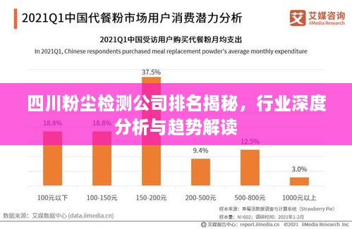 四川粉尘检测公司排名揭秘，行业深度分析与趋势解读