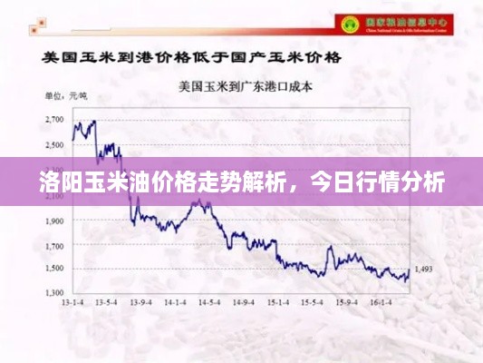 洛阳玉米油价格走势解析，今日行情分析