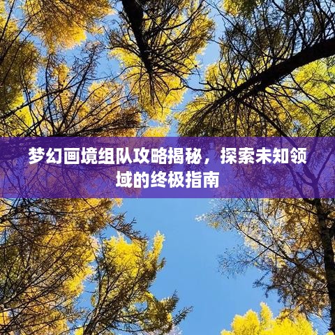 梦幻画境组队攻略揭秘，探索未知领域的终极指南