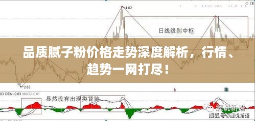 品质腻子粉价格走势深度解析，行情、趋势一网打尽！