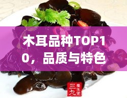 木耳品种TOP10，品质与特色一览