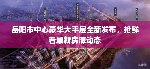 岳阳市中心豪华大平层全新发布，抢鲜看最新房源动态