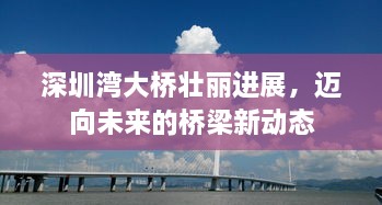 深圳湾大桥壮丽进展，迈向未来的桥梁新动态