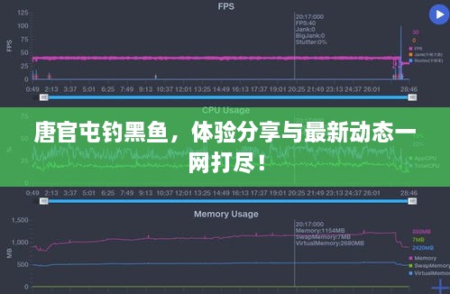 唐官屯钓黑鱼，体验分享与最新动态一网打尽！