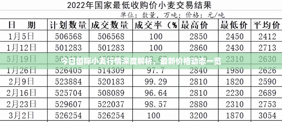 今日国际小麦行情深度解析，最新价格动态一览