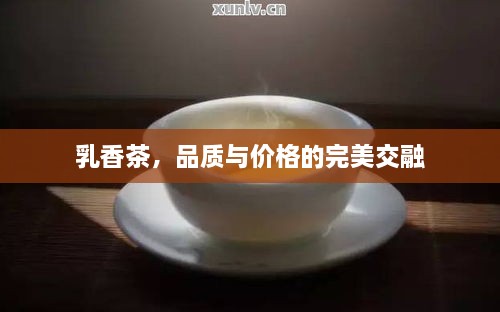 乳香茶，品质与价格的完美交融