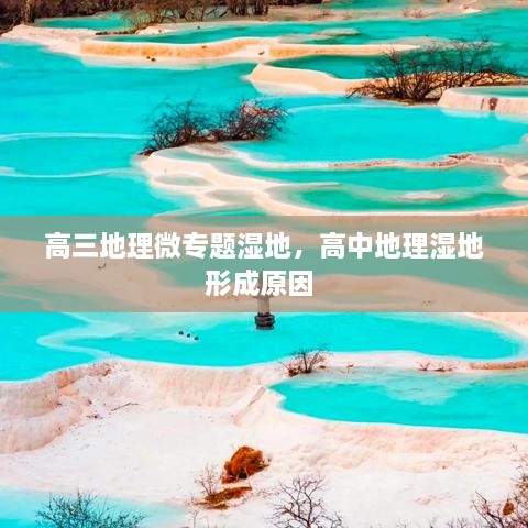 高三地理微专题湿地，高中地理湿地形成原因 