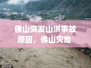 佛山突发山洪事故原因，佛山灾难 