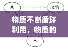 物质不断循环利用，物质的循环利用对生物体的意义 