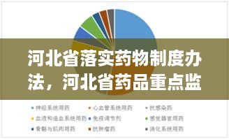 河北省落实药物制度办法，河北省药品重点监控目录 