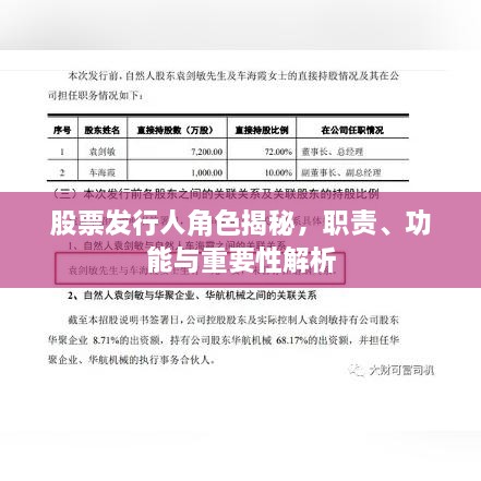 股票发行人角色揭秘，职责、功能与重要性解析