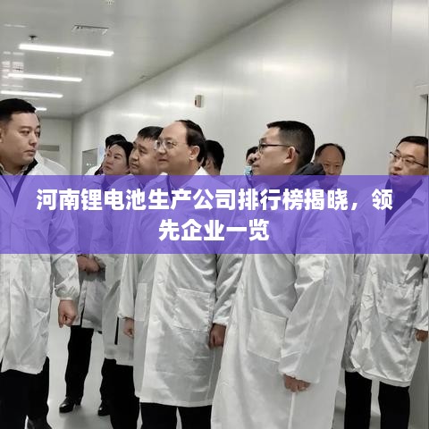 河南锂电池生产公司排行榜揭晓，领先企业一览