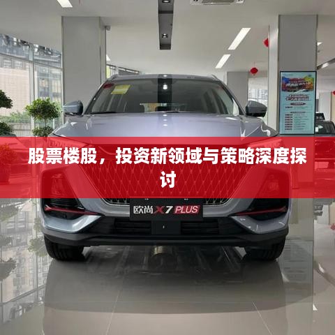 股票楼股，投资新领域与策略深度探讨