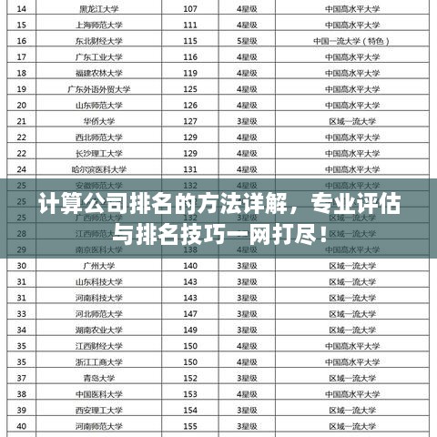 计算公司排名的方法详解，专业评估与排名技巧一网打尽！