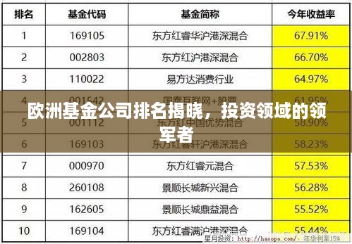 欧洲基金公司排名揭晓，投资领域的领军者