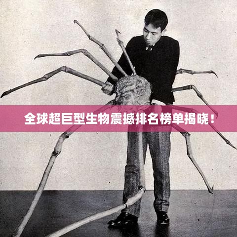 全球超巨型生物震撼排名榜单揭晓！