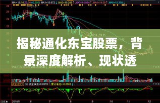 揭秘通化东宝股票，背景深度解析、现状透视与未来展望